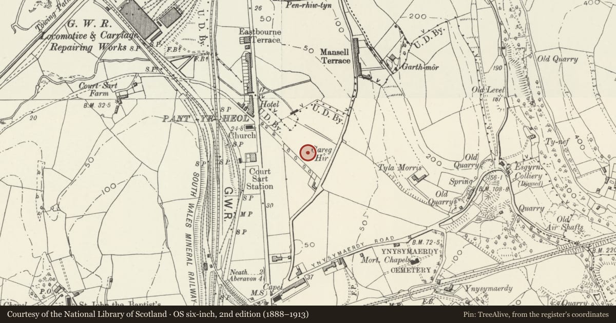 Ordnance Survey six-inch map, 2nd edition (1888–1913) covering the location of Carreg Hir Standing Stone, Pen-Rhiw-Tyn, Briton Ferry, Neath Port Talbot, with a pin at the register's coordinates