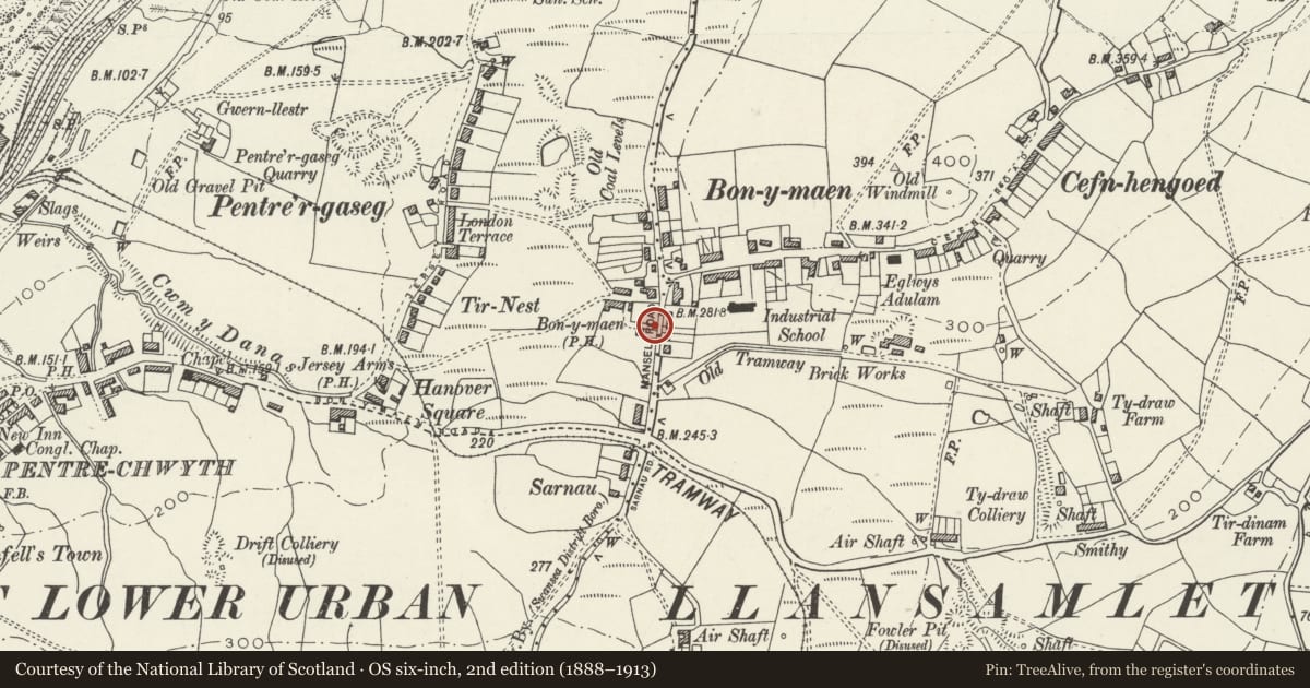 Ordnance Survey six-inch map, 2nd edition (1888–1913) covering the location of Bon y Maen Standing Stone, Bonymaen, Swansea, with a pin at the register's coordinates