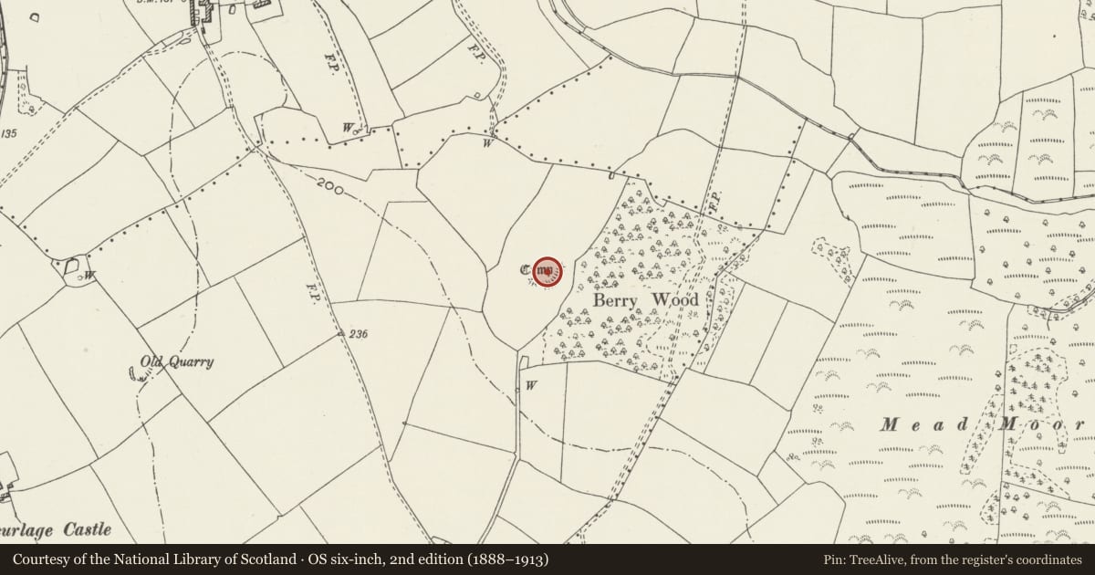 Ordnance Survey six-inch map, 2nd edition (1888–1913) covering the location of Berry Ringwork, Port Eynon, Swansea, with a pin at the register's coordinates