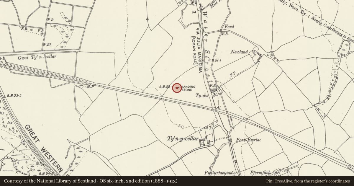 Ordnance Survey six-inch map, 2nd edition (1888–1913) covering the location of Ty'n-y-Cellar Standing Stone, Margam, Neath Port Talbot, with a pin at the register's coordinates