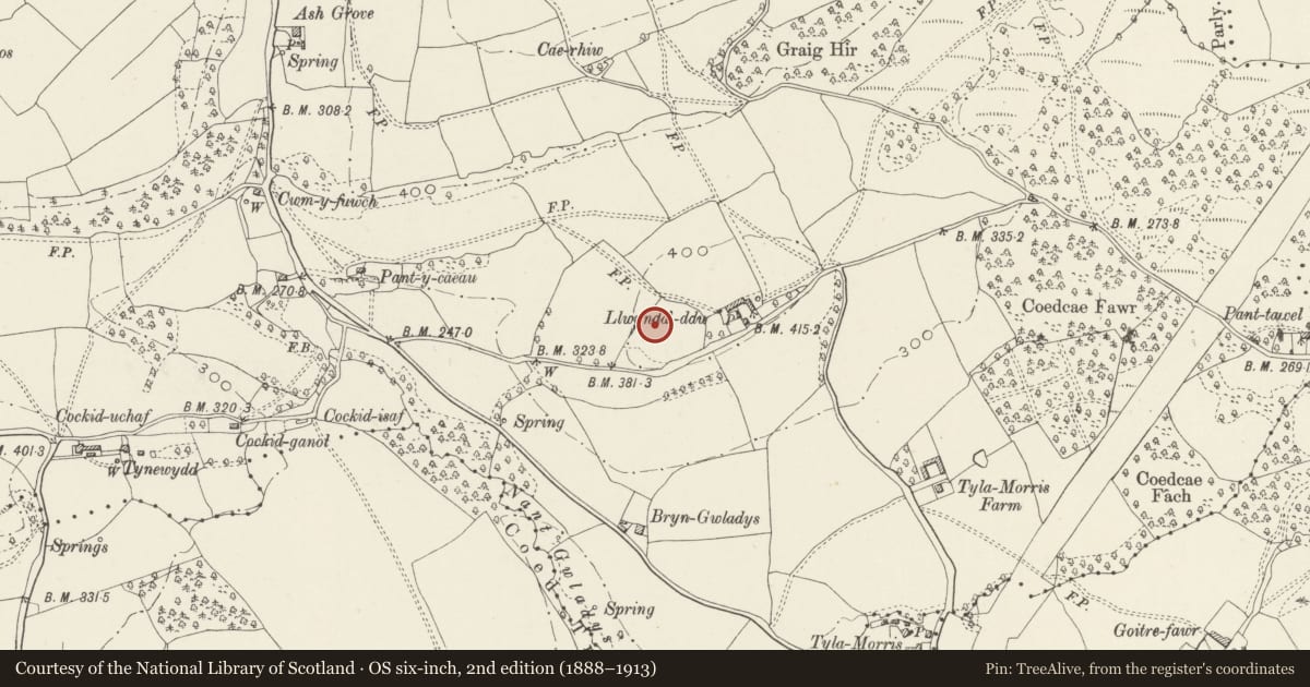 Ordnance Survey six-inch map, 2nd edition (1888–1913) covering the location of Llwynda-Ddu Camp, Pentyrch, Cardiff, with a pin at the register's coordinates