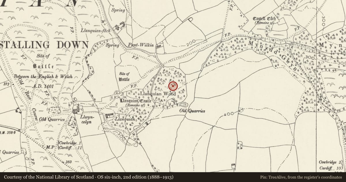 Ordnance Survey six-inch map, 2nd edition (1888–1913) covering the location of Llanquian Wood Camp, Cowbridge with Llanblethian, Vale of Glamorgan, with a pin at the register's coordinates