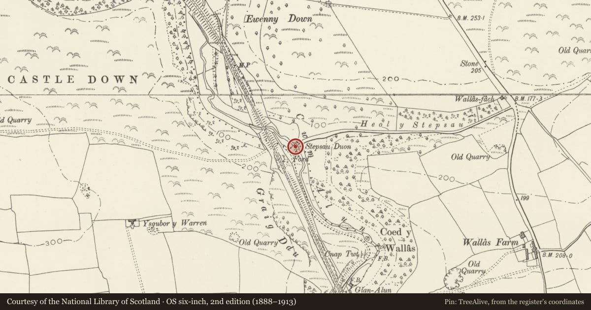 Ordnance Survey six-inch map, 2nd edition (1888–1913) covering the location of Stepsau Duon, St. Bride's Major, Vale of Glamorgan, with a pin at the register's coordinates