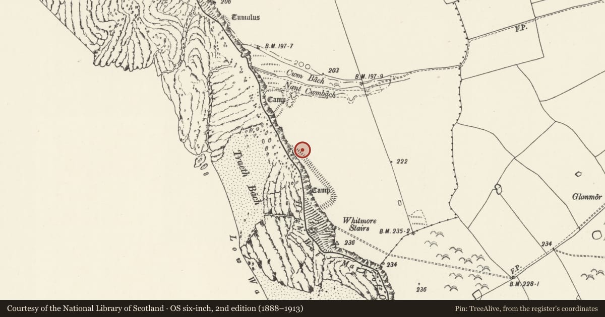 Ordnance Survey six-inch map, 2nd edition (1888–1913) covering the location of Cwm Bach Camps, Wick, Vale of Glamorgan, with a pin at the register's coordinates