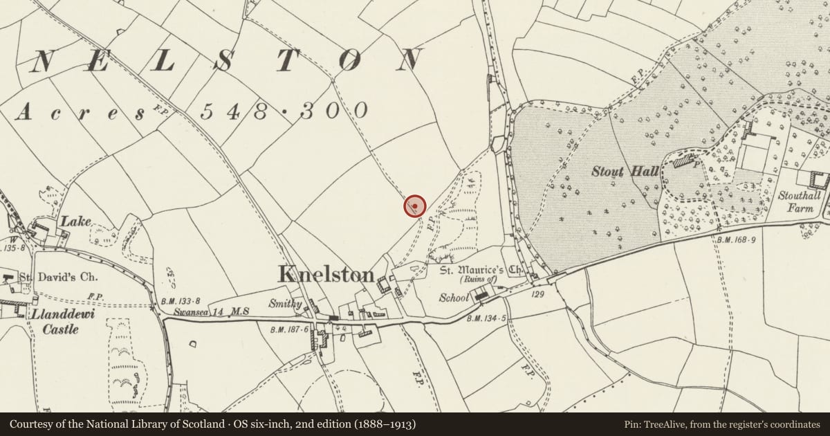Ordnance Survey six-inch map, 2nd edition (1888–1913) covering the location of Burry Standing Stone, Port Eynon, Swansea, with a pin at the register's coordinates
