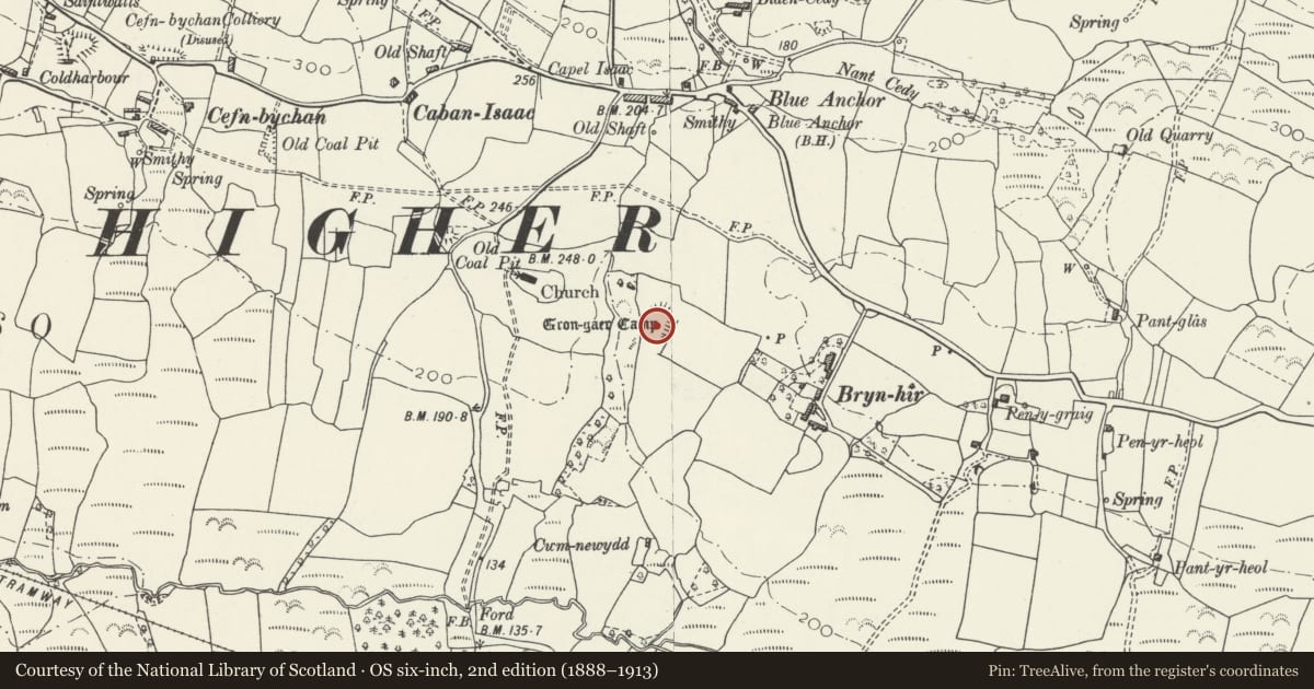 Ordnance Survey six-inch map, 2nd edition (1888–1913) covering the location of Gron-Gaer, Llanrhidian Higher, Swansea, with a pin at the register's coordinates