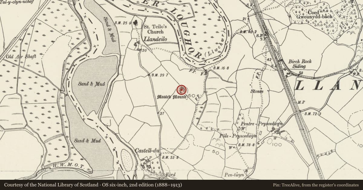 Ordnance Survey six-inch map, 2nd edition (1888–1913) covering the location of Llandeilo Castle Mound, Grovesend and Waungron, Swansea, with a pin at the register's coordinates