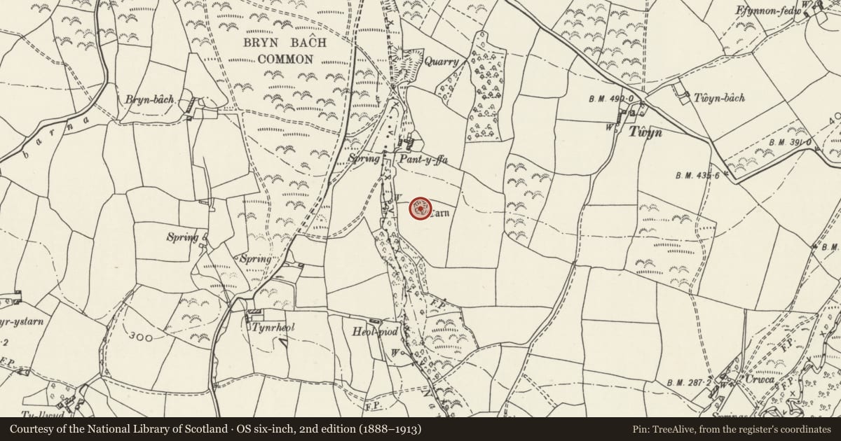 Ordnance Survey six-inch map, 2nd edition (1888–1913) covering the location of Pant-y-Ffa Round Cairn, Mawr, Swansea, with a pin at the register's coordinates