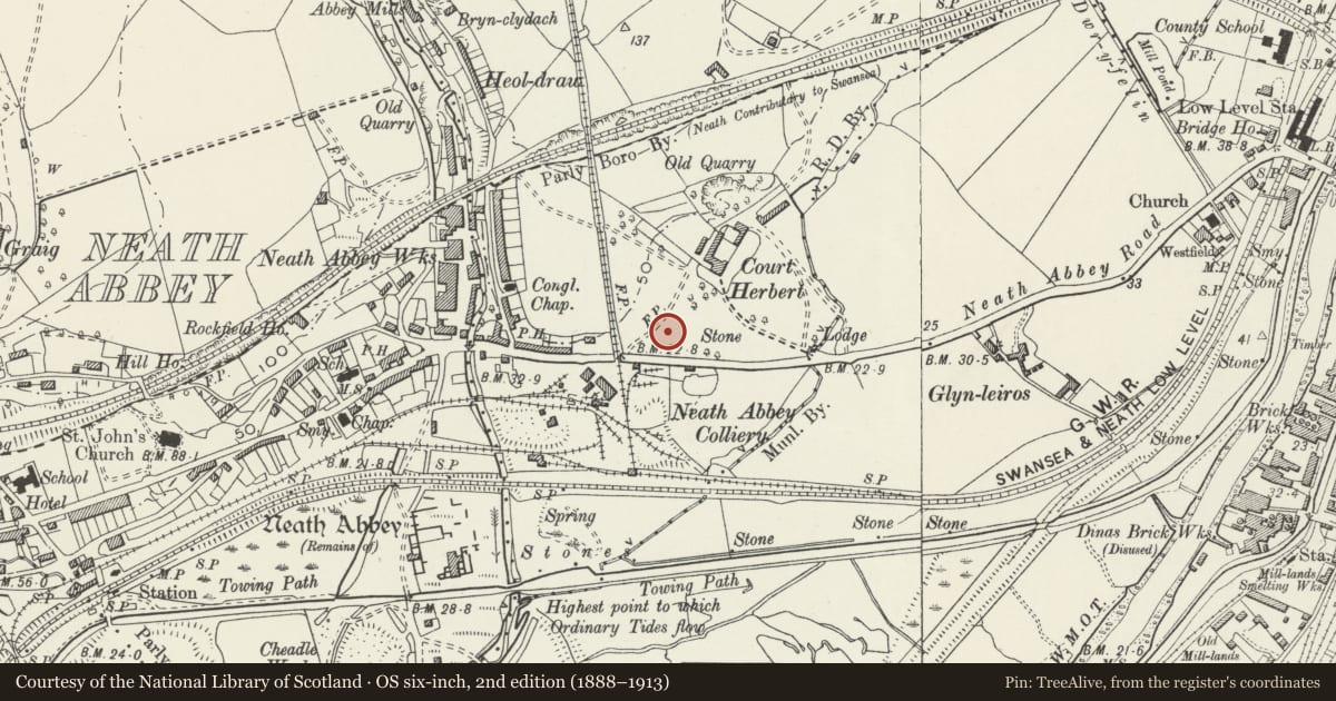 Ordnance Survey six-inch map, 2nd edition (1888–1913) covering the location of Court Herbert Cross & Grave Slab, Dyffryn Clydach, Neath Port Talbot, with a pin at the register's coordinates