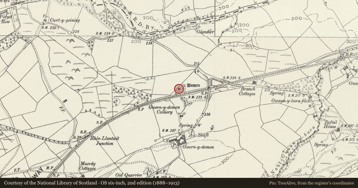 Ordnance Survey six-inch map, 2nd edition (1888–1913) covering the location of Gwern-y-Domen Castle Mound, Van, Caerphilly, with a pin at the register's coordinates