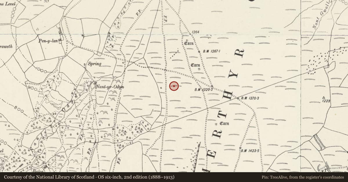 Ordnance Survey six-inch map, 2nd edition (1888–1913) covering the location of Merthyr Common Round Cairns, Troed-y-Rhiw, Merthyr Tydfil, with a pin at the register's coordinates