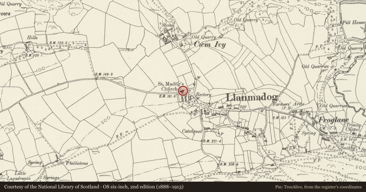 Ordnance Survey six-inch map, 2nd edition (1888–1913) covering the location of St Madoc's Church cross-incised stones, Llangennith, Llanmadoc and Cheriton, Swansea, with a pin at the register's coordinates