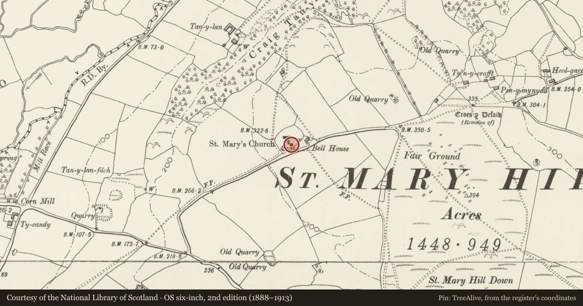 Ordnance Survey six-inch map, 2nd edition (1888–1913) covering the location of Cross in St Mary's Churchyard, Llangan, Vale of Glamorgan, with a pin at the register's coordinates