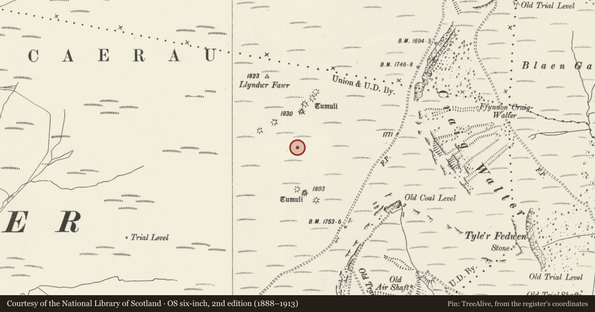 Ordnance Survey six-inch map, 2nd edition (1888–1913) covering the location of Mynydd Caerau Round Cairns, Maesteg, Bridgend, with a pin at the register's coordinates