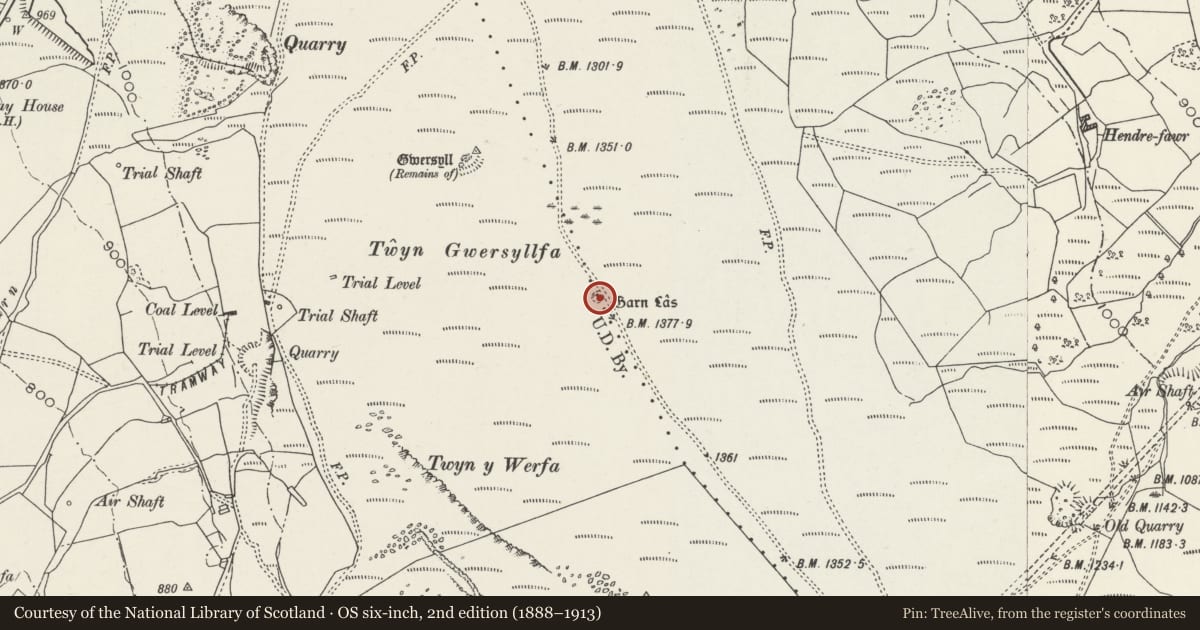 Ordnance Survey six-inch map, 2nd edition (1888–1913) covering the location of Garn Las Earthwork, Aberdare West, Rhondda Cynon Taff, with a pin at the register's coordinates