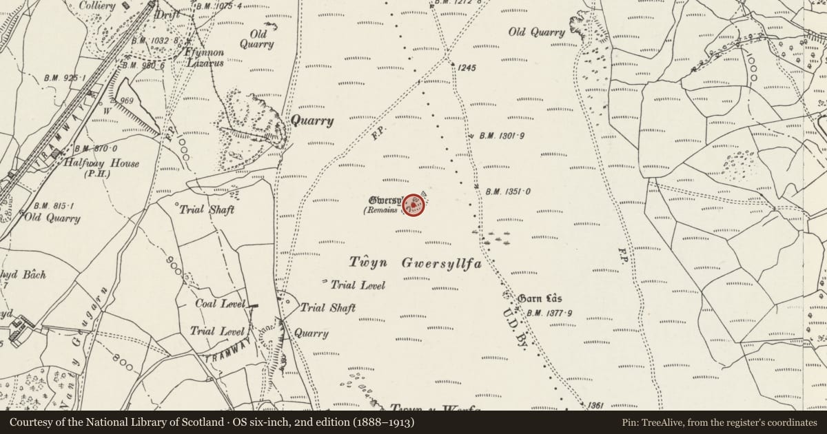 Ordnance Survey six-inch map, 2nd edition (1888–1913) covering the location of Gwersyll, Aberdare West, Rhondda Cynon Taff, with a pin at the register's coordinates