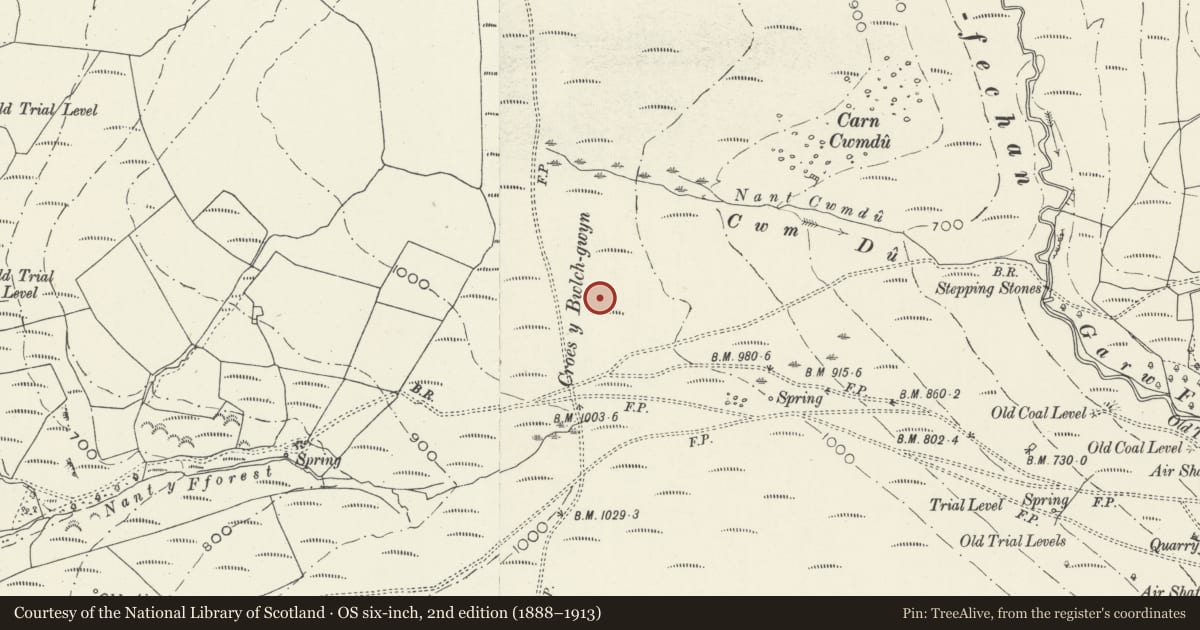 Ordnance Survey six-inch map, 2nd edition (1888–1913) covering the location of Croes y Bwlchgwyn Round Cairn, Garw Valley, Bridgend, with a pin at the register's coordinates