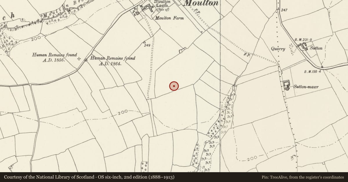 Ordnance Survey six-inch map, 2nd edition (1888–1913) covering the location of Moulton Roman Site, Llancarfan, Vale of Glamorgan, with a pin at the register's coordinates