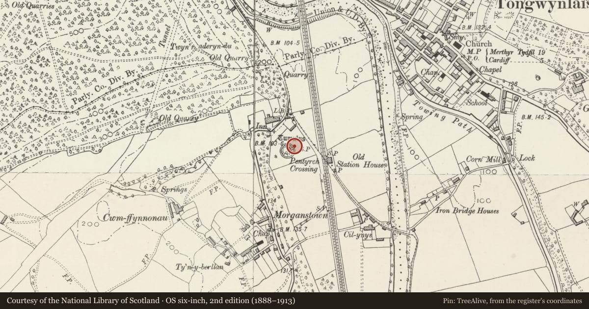 Ordnance Survey six-inch map, 2nd edition (1888–1913) covering the location of Morganstown Castle Mound, Radyr and Morganstown, Cardiff, with a pin at the register's coordinates