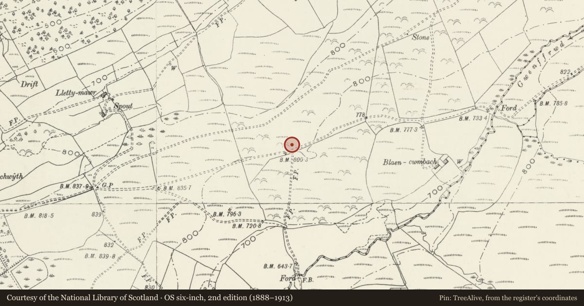 Ordnance Survey six-inch map, 2nd edition (1888–1913) covering the location of Blaen-Cwmbach Camp, Tonna, Neath Port Talbot, with a pin at the register's coordinates