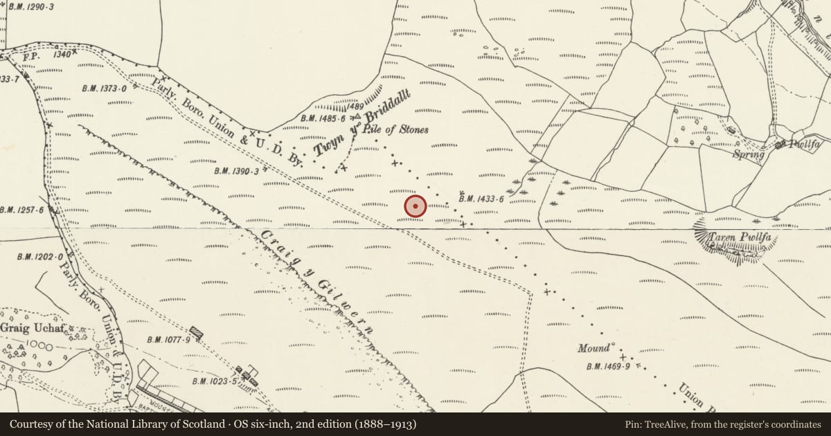 Ordnance Survey six-inch map, 2nd edition (1888–1913) covering the location of Twyn y Bridallt Roman Camp, Ferndale, Rhondda Cynon Taff, with a pin at the register's coordinates
