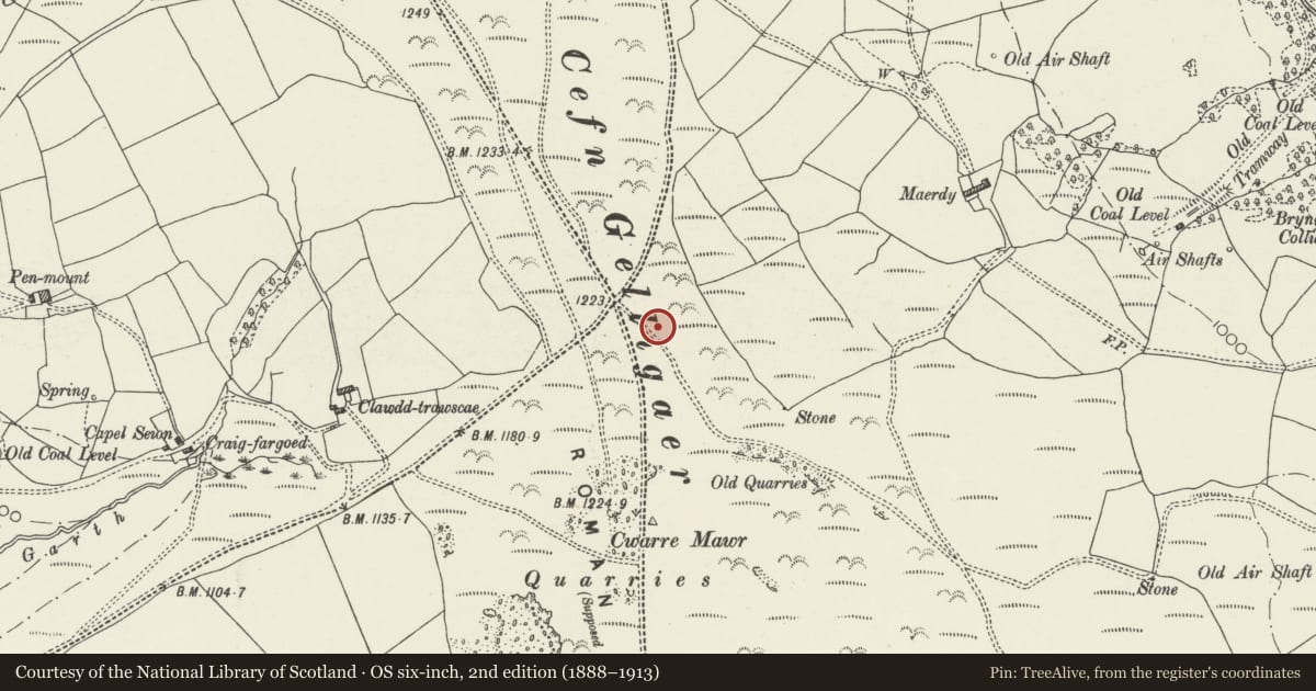 Ordnance Survey six-inch map, 2nd edition (1888–1913) covering the location of Dyke 387m E of Clawdd Trawscae Farm, Bedlinog, Caerphilly, with a pin at the register's coordinates