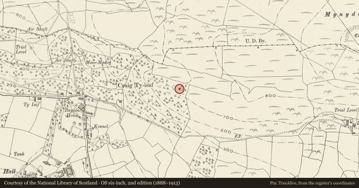Ordnance Survey six-inch map, 2nd edition (1888–1913) covering the location of Craig Ty-Isaf Camp, Baglan, Neath Port Talbot, with a pin at the register's coordinates