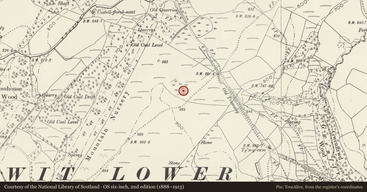 Ordnance Survey six-inch map, 2nd edition (1888–1913) covering the location of Cefn Morfydd Dyke & Earthwork, Tonna, Neath Port Talbot, with a pin at the register's coordinates