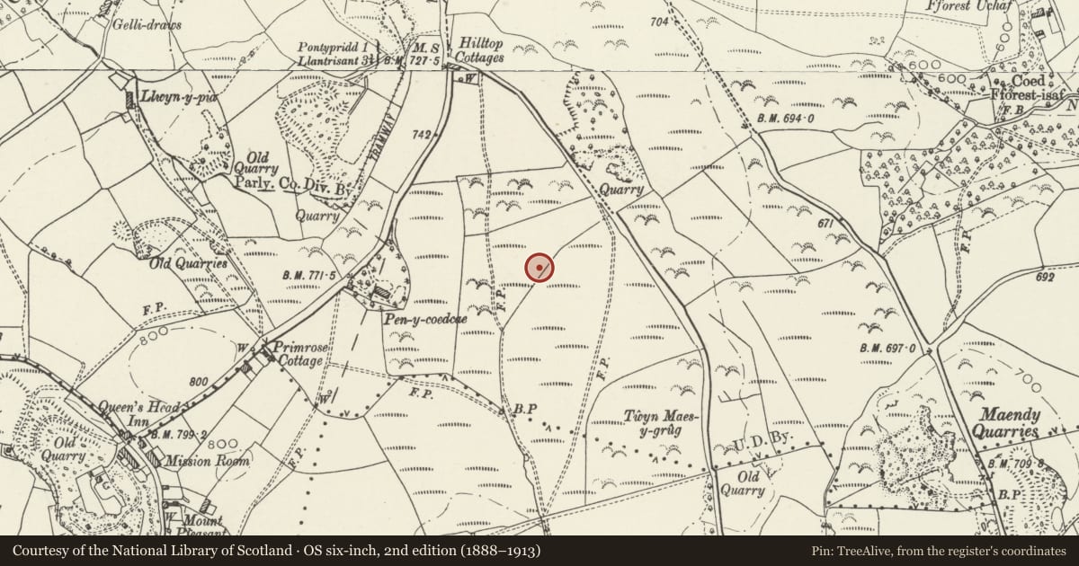 Ordnance Survey six-inch map, 2nd edition (1888–1913) covering the location of Pen-y-Coedcae Roman Camp, Pontypridd, Rhondda Cynon Taff, with a pin at the register's coordinates