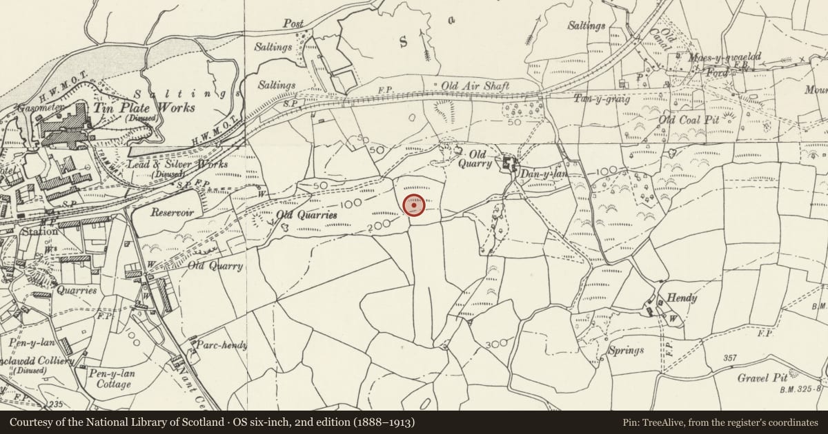 Ordnance Survey six-inch map, 2nd edition (1888–1913) covering the location of Dan-y-Lan Camp, Llanrhidian Higher, Swansea, with a pin at the register's coordinates