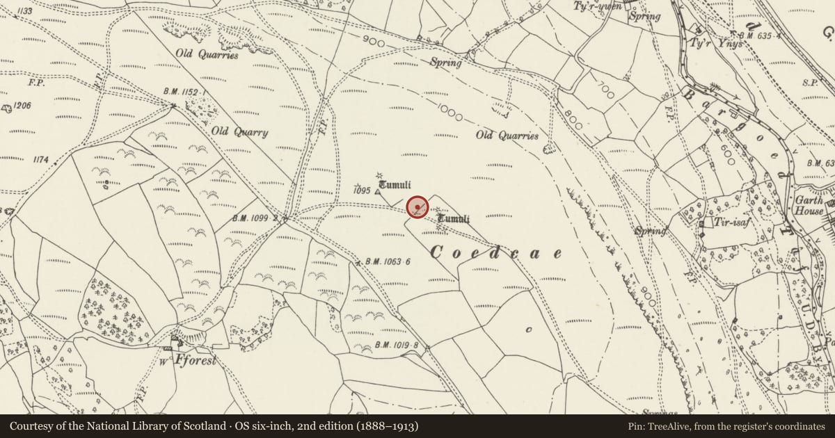 Ordnance Survey six-inch map, 2nd edition (1888–1913) covering the location of Coed Cae Round Cairns, Bedlinog, Merthyr Tydfil, with a pin at the register's coordinates