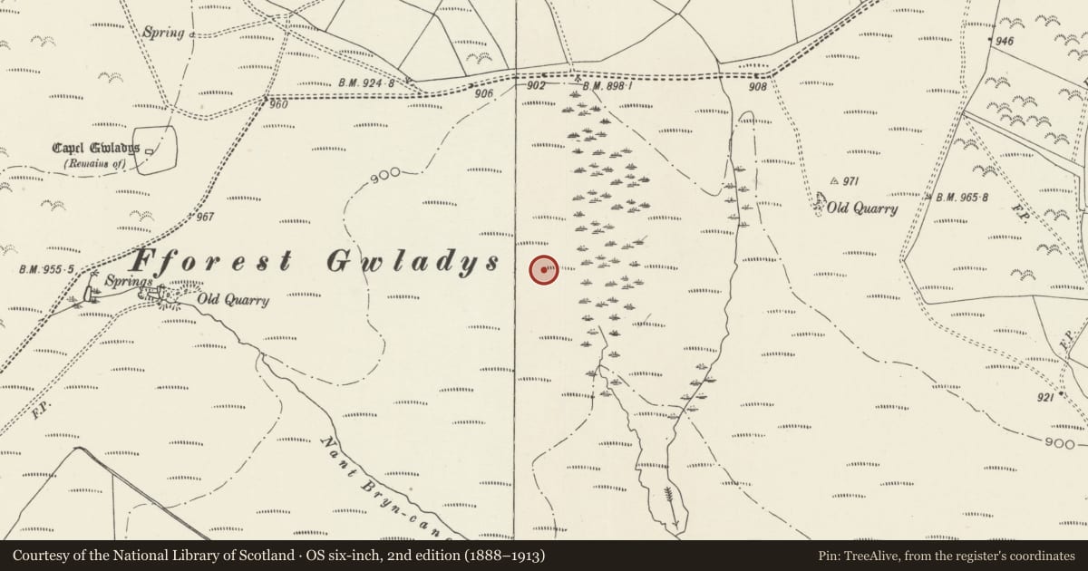Ordnance Survey six-inch map, 2nd edition (1888–1913) covering the location of Fforest Gwladys Roman practice camp, Gelligaer, Caerphilly, with a pin at the register's coordinates
