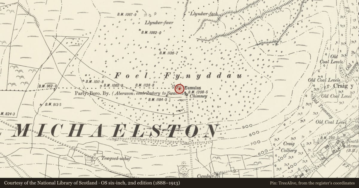Ordnance Survey six-inch map, 2nd edition (1888–1913) covering the location of Foel Fynyddau Round Cairn, Cwmavon, Neath Port Talbot, with a pin at the register's coordinates
