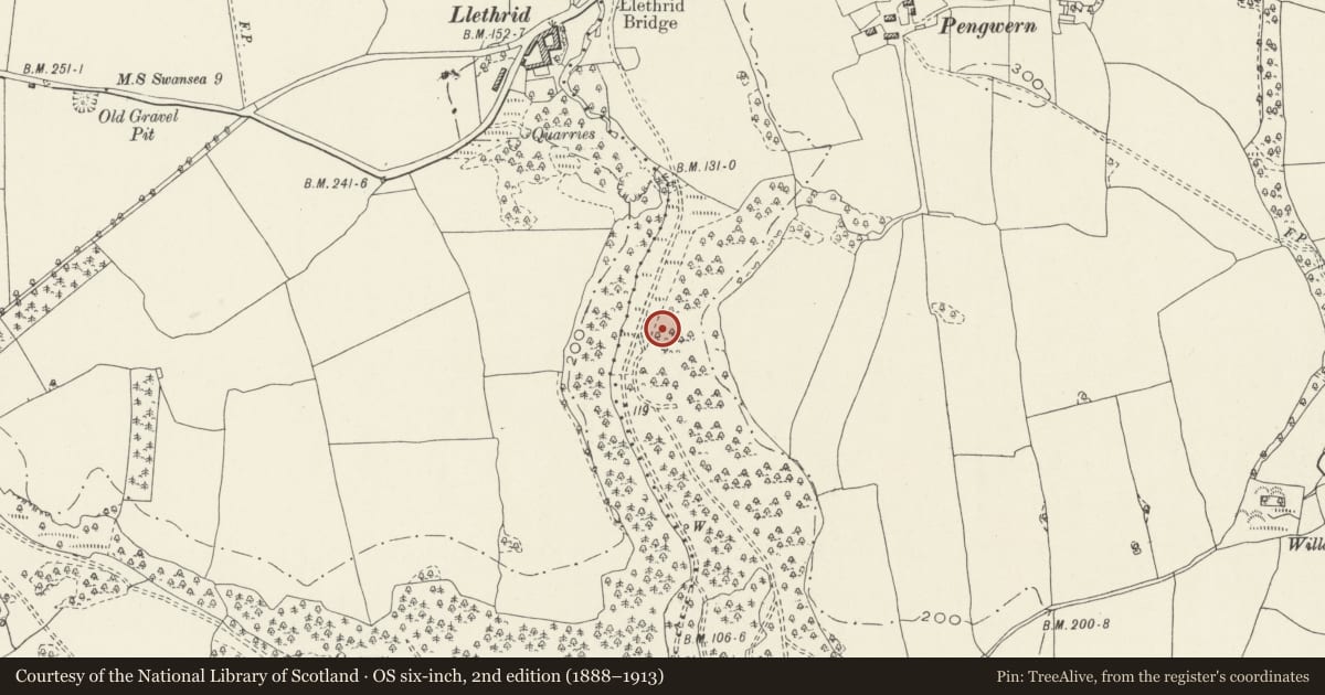 Ordnance Survey six-inch map, 2nd edition (1888–1913) covering the location of Tooth Cave, Llethrid, Ilston, Swansea, with a pin at the register's coordinates
