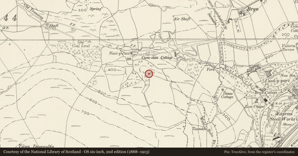 Ordnance Survey six-inch map, 2nd edition (1888–1913) covering the location of Cwm-Clais Castle Mound, Cwmavon, Neath Port Talbot, with a pin at the register's coordinates
