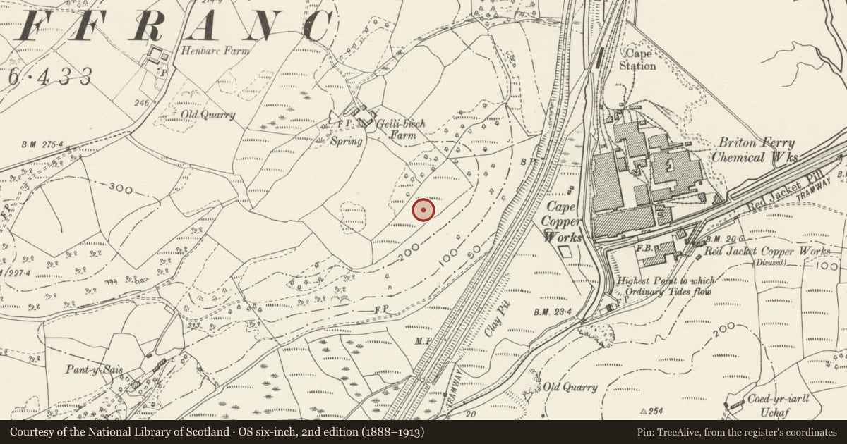 Ordnance Survey six-inch map, 2nd edition (1888–1913) covering the location of Gelli-Bwch Round Cairn, Coedffranc, Neath Port Talbot, with a pin at the register's coordinates