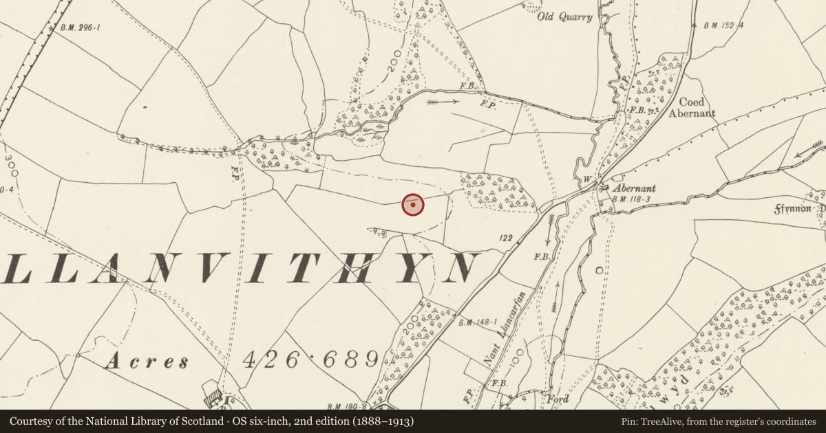 Ordnance Survey six-inch map, 2nd edition (1888–1913) covering the location of Llanvithyn Camp, Llancarfan, Vale of Glamorgan, with a pin at the register's coordinates