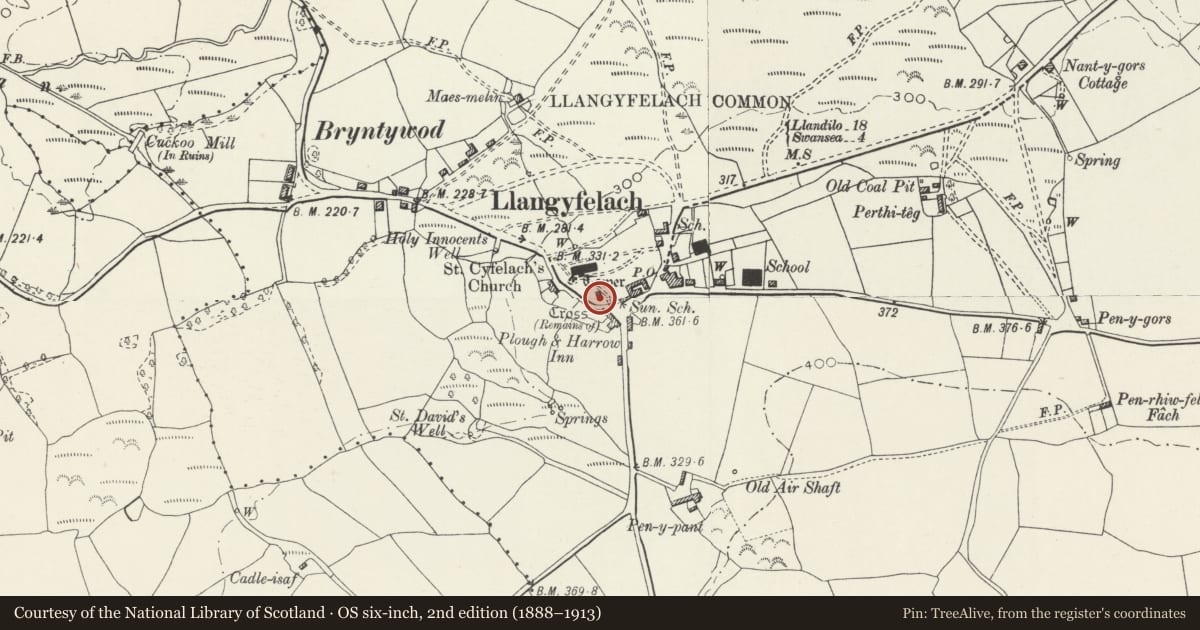 Ordnance Survey six-inch map, 2nd edition (1888–1913) covering the location of Llangyfelach Cross-Base, Swansea, with a pin at the register's coordinates