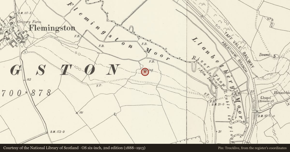 Ordnance Survey six-inch map, 2nd edition (1888–1913) covering the location of Fleminston Deserted Village, St. Athan, Vale of Glamorgan, with a pin at the register's coordinates