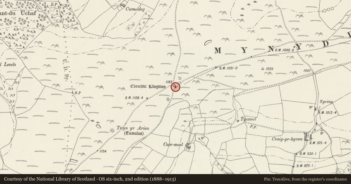 Ordnance Survey six-inch map, 2nd edition (1888–1913) covering the location of Carneddi Llwydion, Nelson, Caerphilly, with a pin at the register's coordinates