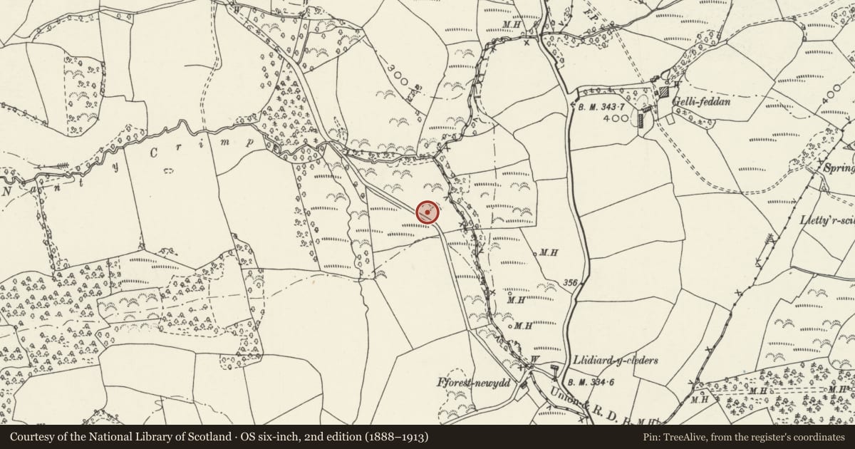 Ordnance Survey six-inch map, 2nd edition (1888–1913) covering the location of Earthwork 1080m NNW of Fforest Newydd, Llangyfelach, Swansea, with a pin at the register's coordinates