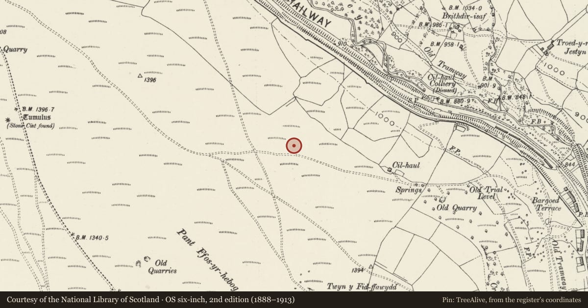 Ordnance Survey six-inch map, 2nd edition (1888–1913) covering the location of Platform Houses on East Side of Gelligaer Common, Darran Valley, Caerphilly, with a pin at the register's coordinates