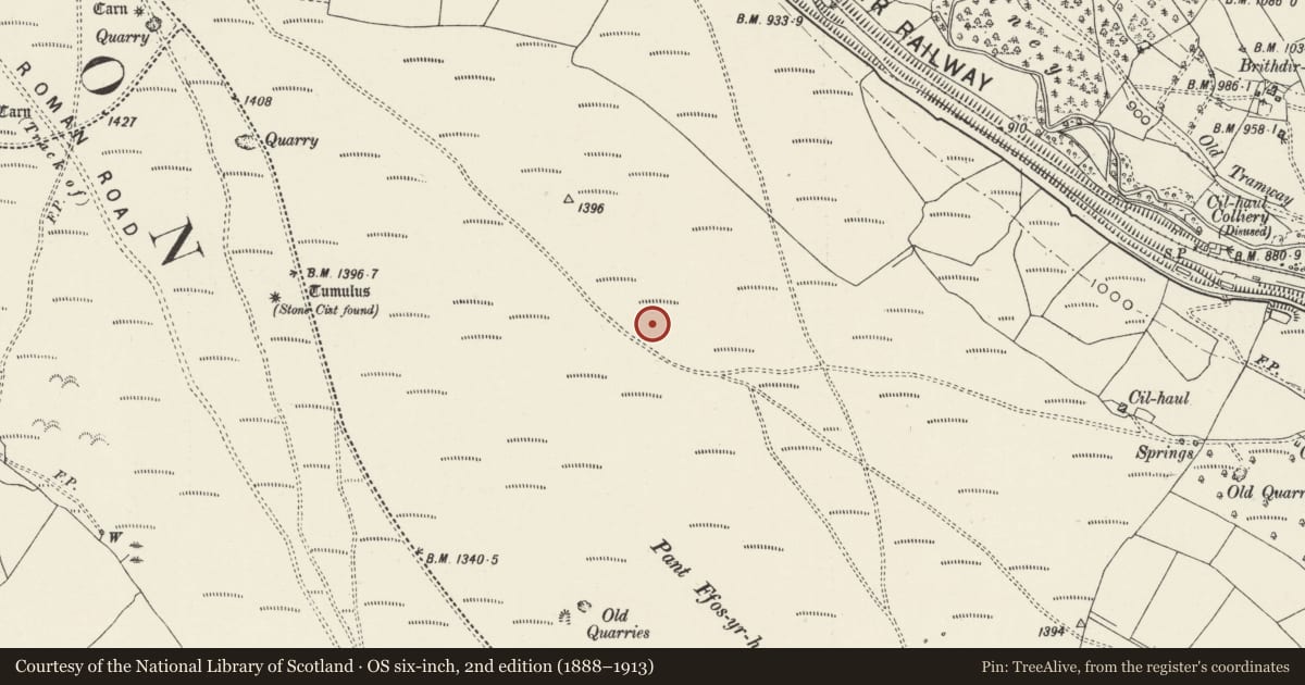 Ordnance Survey six-inch map, 2nd edition (1888–1913) covering the location of Cairn 270m N of Pont Ffosyrhebog, Darran Valley, Caerphilly, with a pin at the register's coordinates