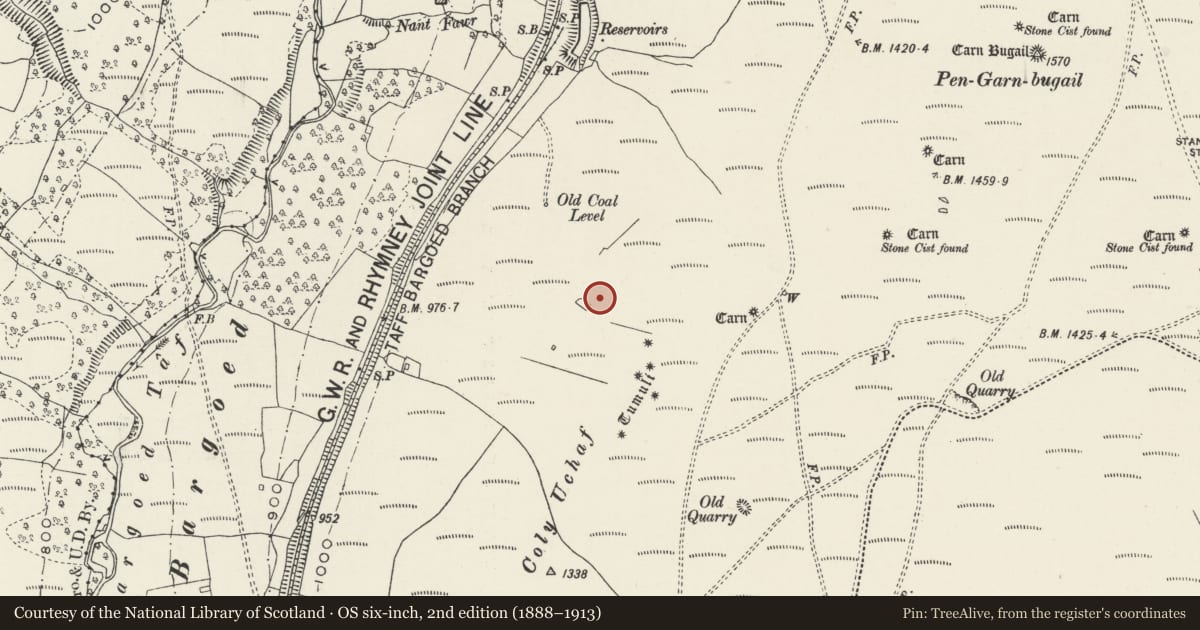 Ordnance Survey six-inch map, 2nd edition (1888–1913) covering the location of Platform Houses and Cairn Cemetery on Dinas Noddfa, Bedlinog, Merthyr Tydfil, with a pin at the register's coordinates