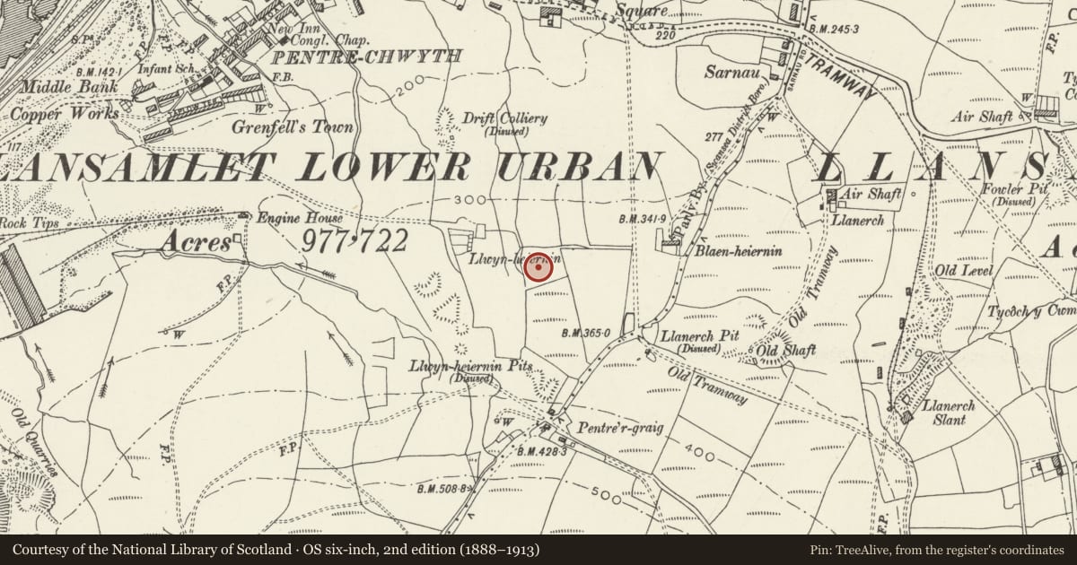 Ordnance Survey six-inch map, 2nd edition (1888–1913) covering the location of Earthwork on Kilvey Hill, St. Thomas, Swansea, with a pin at the register's coordinates