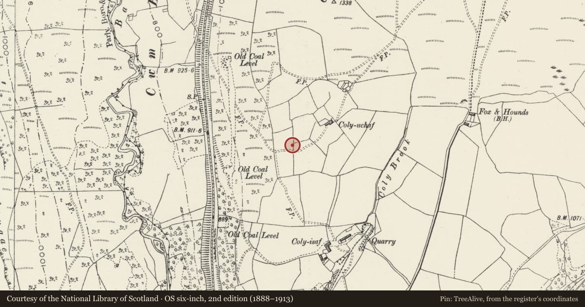 Ordnance Survey six-inch map, 2nd edition (1888–1913) covering the location of Platform Houses on Coly Uchaf, Bedlinog, Merthyr Tydfil, with a pin at the register's coordinates
