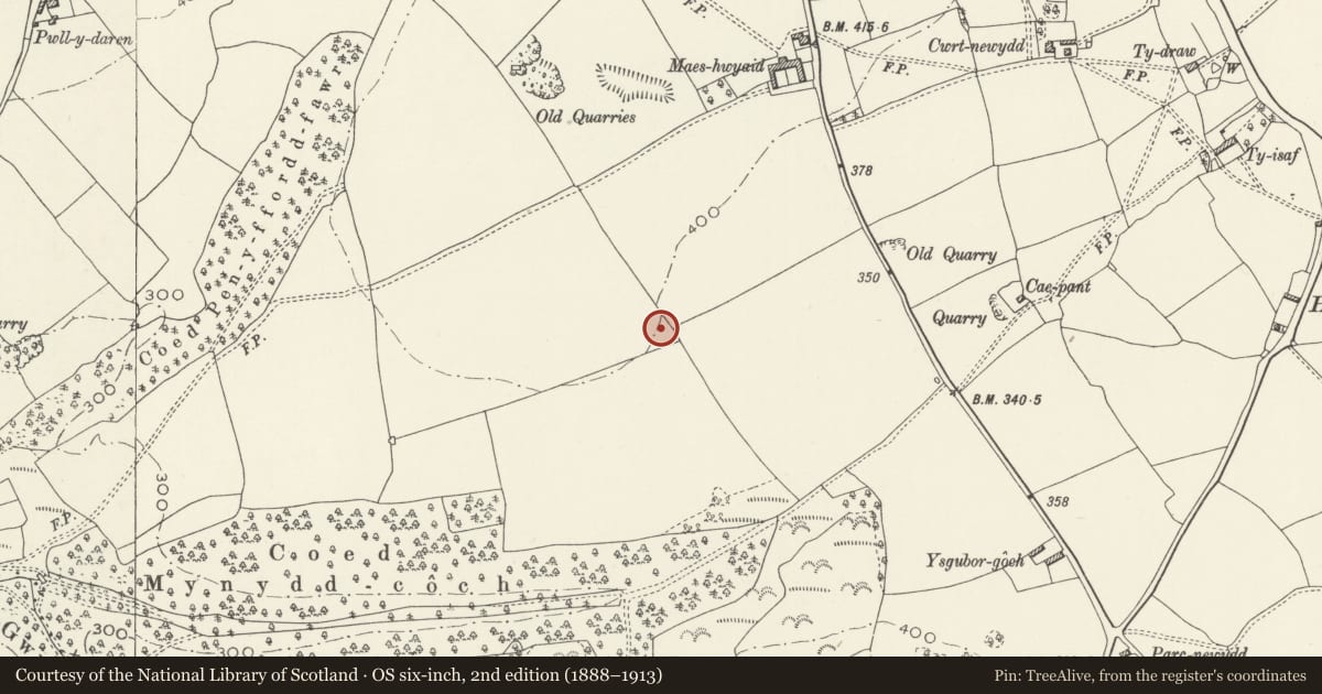 Ordnance Survey six-inch map, 2nd edition (1888–1913) covering the location of Maes-y-Hwyaid Round Barrow, Welsh St. Donats, Vale of Glamorgan, with a pin at the register's coordinates