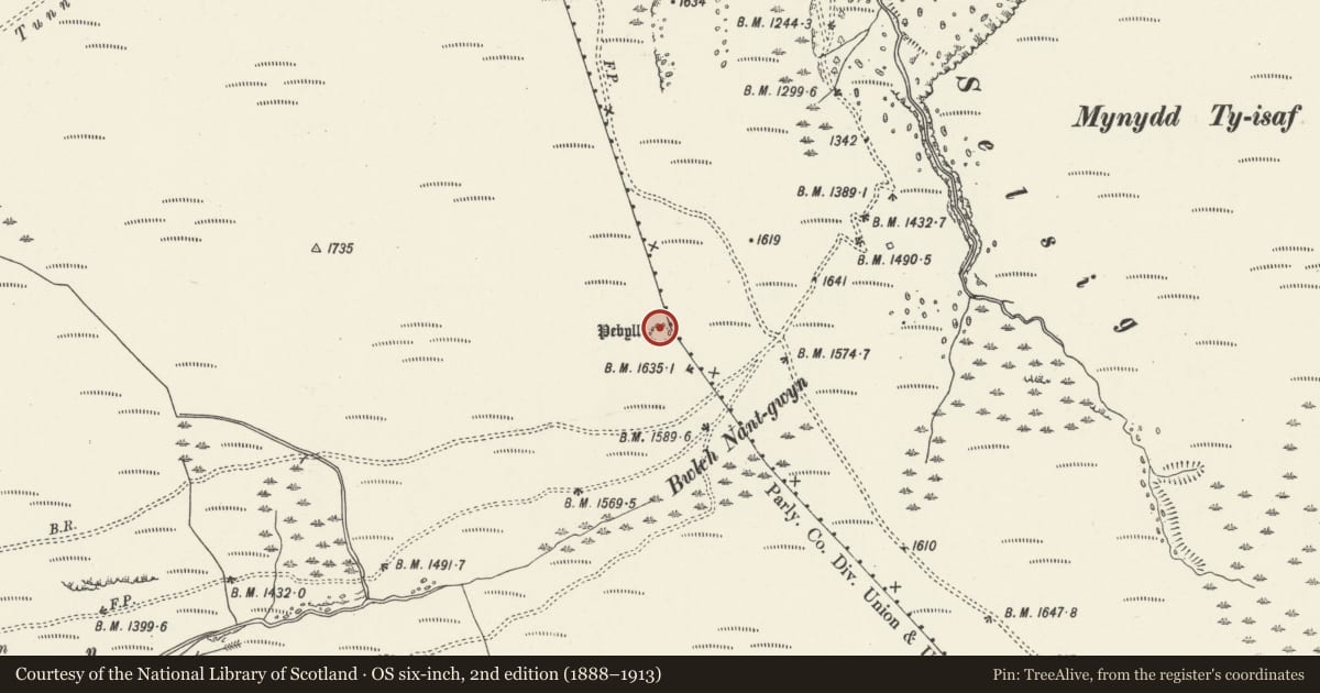 Ordnance Survey six-inch map, 2nd edition (1888–1913) covering the location of Pebyll Ring Cairn, Glyncorrwg, Neath Port Talbot, with a pin at the register's coordinates