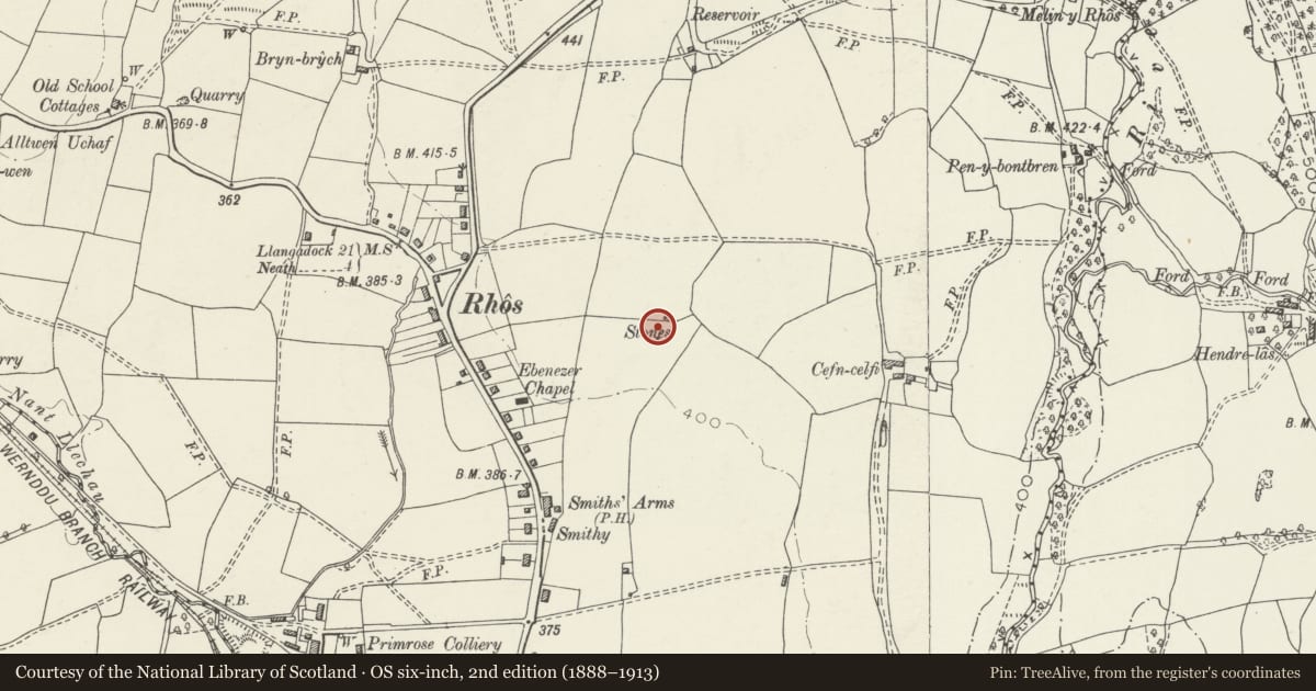 Ordnance Survey six-inch map, 2nd edition (1888–1913) covering the location of Standing Stones 300m W of Cefncelfi, Cilybebyll, Neath Port Talbot, with a pin at the register's coordinates