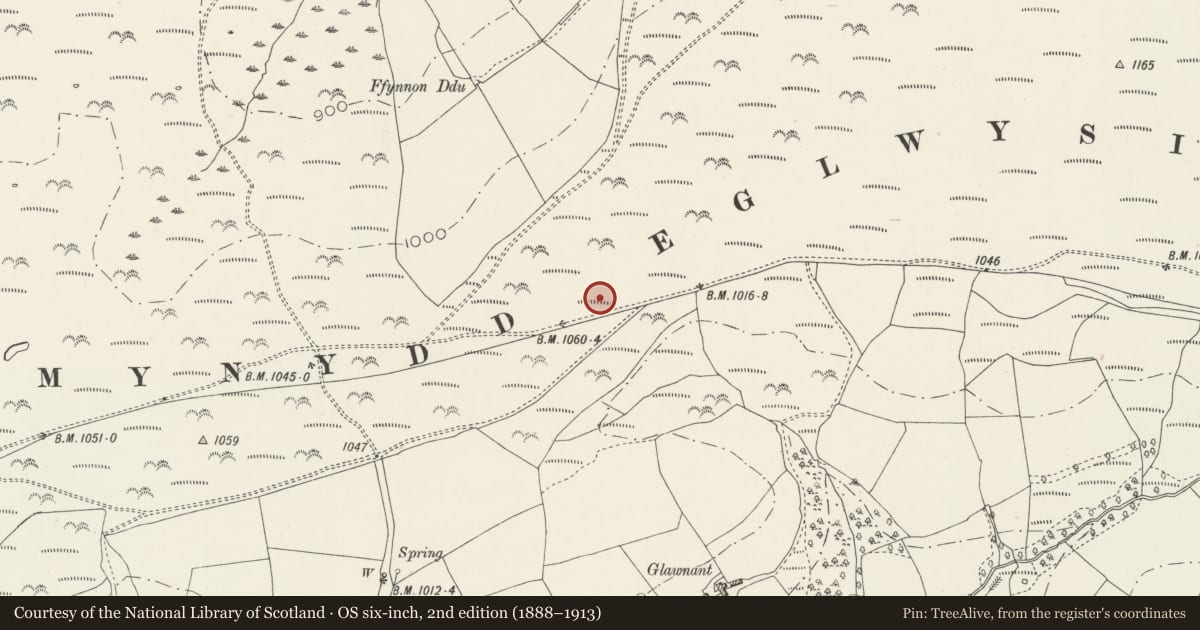 Ordnance Survey six-inch map, 2nd edition (1888–1913) covering the location of Cairnfield on Mynydd Eglwysilan, Nelson, Caerphilly, with a pin at the register's coordinates
